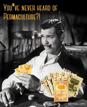 Permaculture playing Cards
